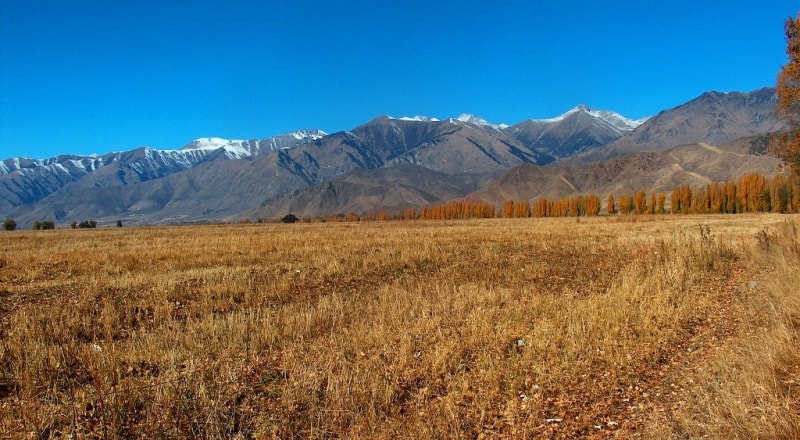 Autumn in Kazakhstan.